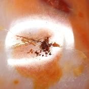 Cornaline chauffée forme libre 15656