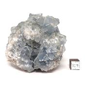 Célestine Pierre brute 15730