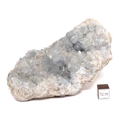 Célestine Pierre brute 15733