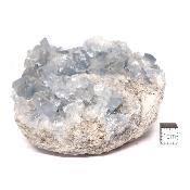 Célestine Pierre brute 15734