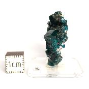 Dioptase Pierre Brute 15780