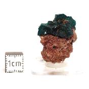 Dioptase Pierre Brute 15810