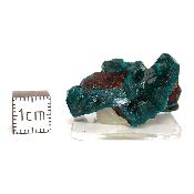 Dioptase Pierre Brute 15811
