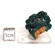 Dioptase Pierre Brute 15816
