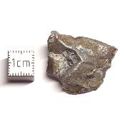 Météorite Sidérite Sikhote-Alin 15981