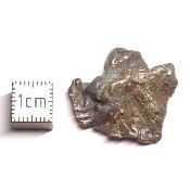 Météorite Sidérite Sikhote-Alin 15988