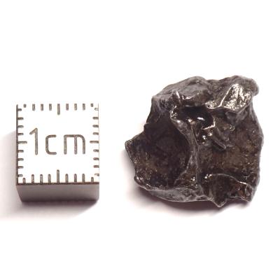 Météorite Sidérite Sikhote-Alin 15992