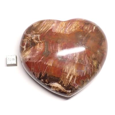 Bois Fossile Coeur 2046