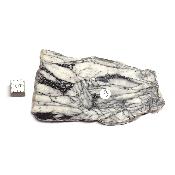 Pinolite Plaque 11935