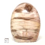 Bois Fossile Forme Libre 15453