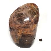 Pierre de Lune Noire Forme Libre 15576