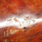 Cornaline chauffée forme libre 15648