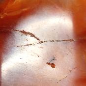 Cornaline chauffée forme libre 15656