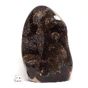 Septaria Forme Libre 15700