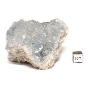 Célestine Pierre brute 15728