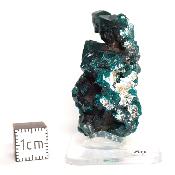 Dioptase Pierre Brute 15779