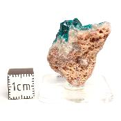 Dioptase Pierre Brute 15782