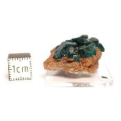 Dioptase Pierre Brute 15793
