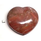 Bois Fossile Coeur 2047