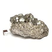 Pyrite Pierre Brute 05810