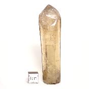 Citrine Pointe Unique Polie n° 05835