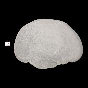 Pierre des Fées Pierre Brute - "Cyclope" 15275