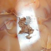 Cornaline chauffée forme libre 15647