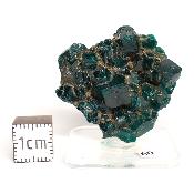 Dioptase Pierre Brute 15780