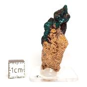 Dioptase Pierre Brute 15813