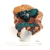 Dioptase Pierre Brute 15814