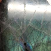 Labradorite Forme Libre 15842