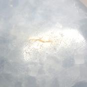 Calcite Bleue Coeur 2042