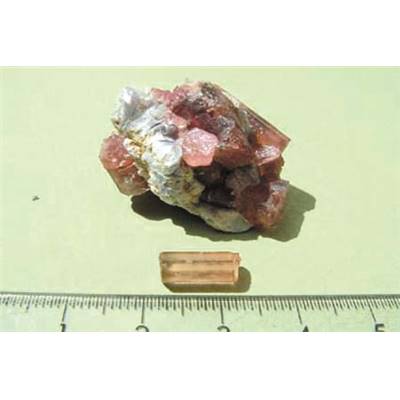 Rubellite Pierre Brute