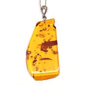 Ambre de la Baltique - Pendentif 05675