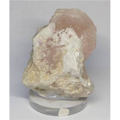 Morganite Pierre Brute 11651