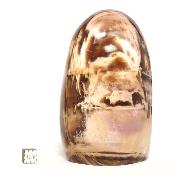 Bois Fossile Forme Libre 15455