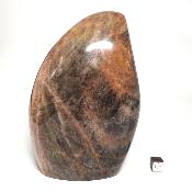 Pierre de Lune Noire Forme Libre 15577