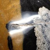 Jaspe Jaune Forme Libre 15643