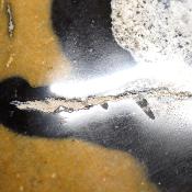 Jaspe Jaune Forme Libre 15643