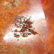 Cornaline chauffée forme libre 15648