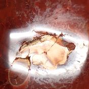 Cornaline chauffée forme libre 15650