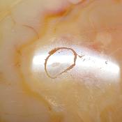 Cornaline chauffée forme libre 15657