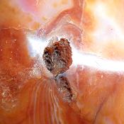 Cornaline chauffée forme libre 15658