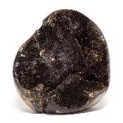 Septaria Forme Libre 15698