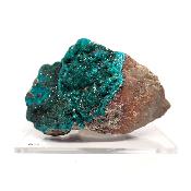 Dioptase Pierre Brute 15763