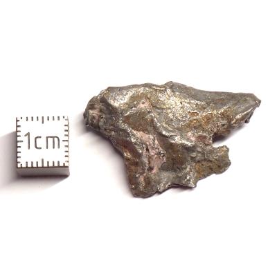 Météorite Sidérite Sikhote-Alin 15982