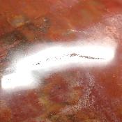 Bois Fossile Coeur 2048