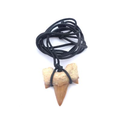 Dent de requin Pendentif