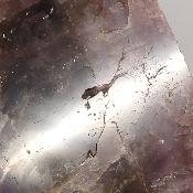 Super Seven Plaque 08160