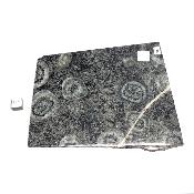 Diorite Orbiculaire Plaque 09491